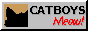 Catboys, meow!